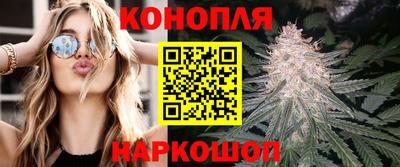 Альфа ПВП Сланцы