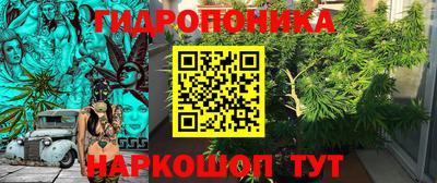 Альфа ПВП Сланцы