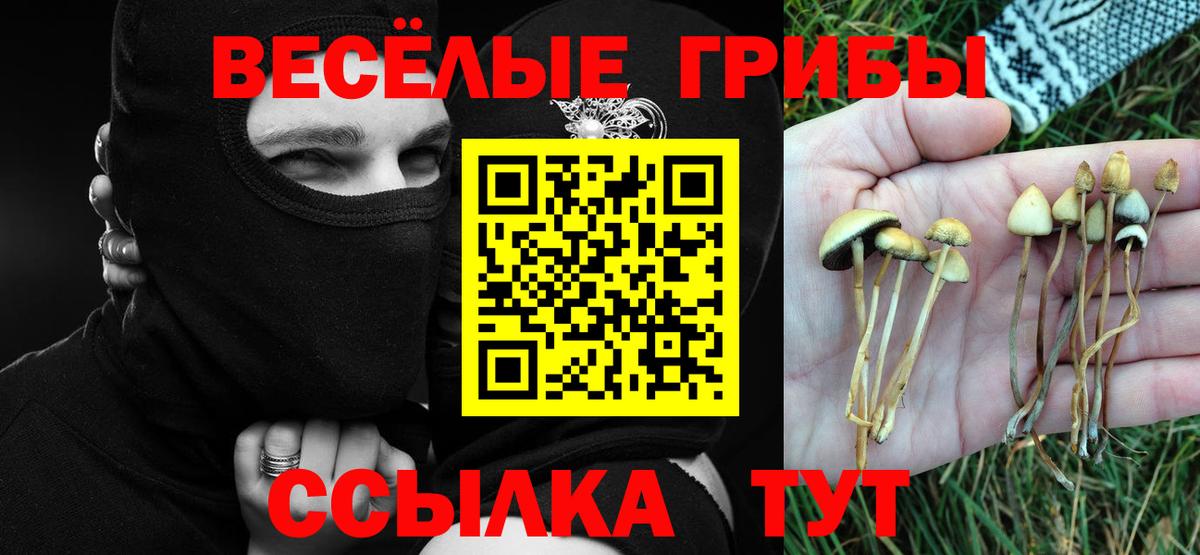 Галлюциногенные грибы ЛСД  Вход с VPN  где найти   Псилоцибиновые грибы прущие грибы  Орехово-Зуево 